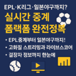 스포츠중계